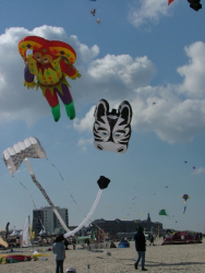 Berck2007-267