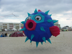 Berck2007-282