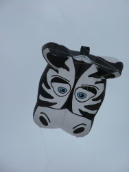 Berck2007-290