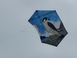 Berck2007-296