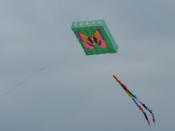 Berck2007-299