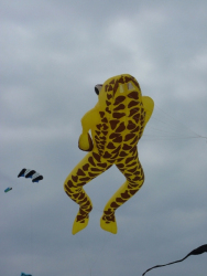 Berck2007-300
