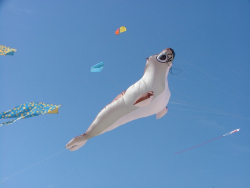 Berck2007-338