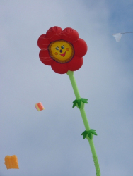 Berck2007-469