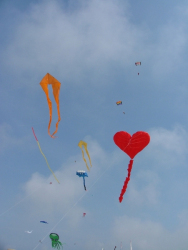 Berck2007-484
