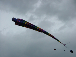 Beverley2007-010