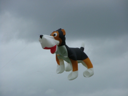 Beverley2007-011