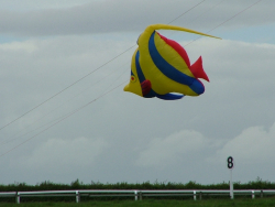 Beverley2007-014