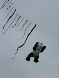 Beverley2007-020