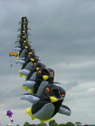 Beverley2007-033