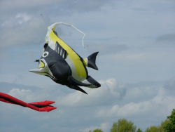 Beverley2007-041