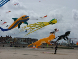 Blackpool2007-010