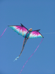 Cleethorpes2007-046