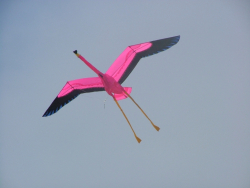 Cleethorpes2007-068