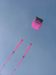 Cleethorpes2007-084