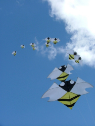 Flookburgh2007-027