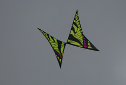 BeverleySum2007-011