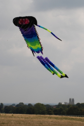 BeverleySum2007-033