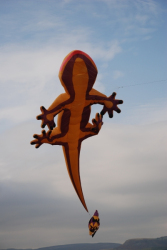Penallta2007-032