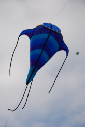 Penallta2007-037
