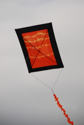 Penallta2007-053