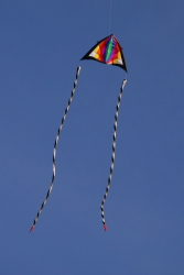 HarewoodAutumn2007-004