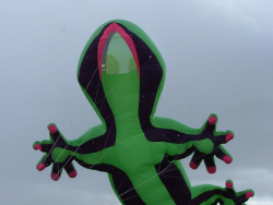 LastDrop2008-008