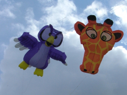 LastDrop2008-009