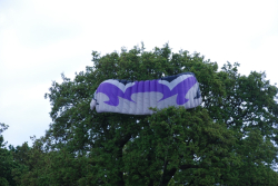 Harewood2008-001