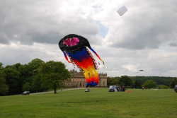Harewood2008-028