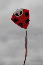 HeatonPark2008-027