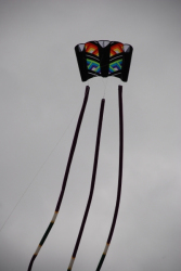 HeatonPark2008-039