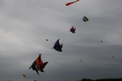 Sunderland2008-004