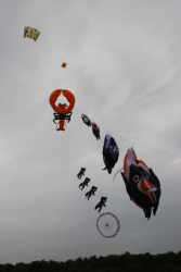 Sunderland2008-005