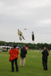 Sunderland2008-013