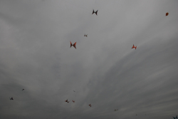 Sunderland2008-016
