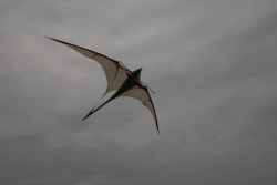 Sunderland2008-017
