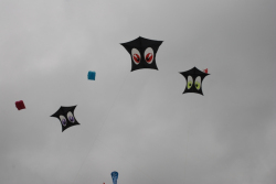 Sunderland2008-024