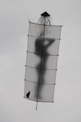 Sunderland2008-041