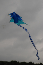 Sunderland2008-043