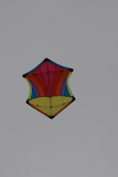 Sunderland2008-045