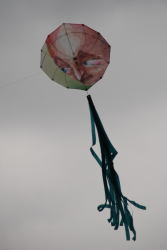 Sunderland2008-047