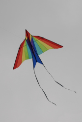 Flookburgh2008-001