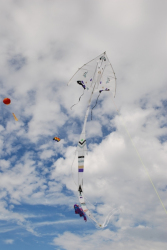 WhitleyBay2008-044