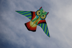 WhitleyBay2008-046
