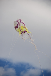 WhitleyBay2008-059