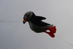 CastleHoward2008-042