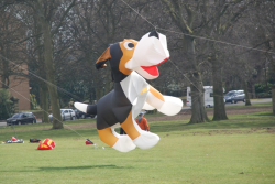 Roundhay2008-001