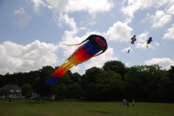 Bolton2009-001
