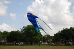 Bolton2009-002
